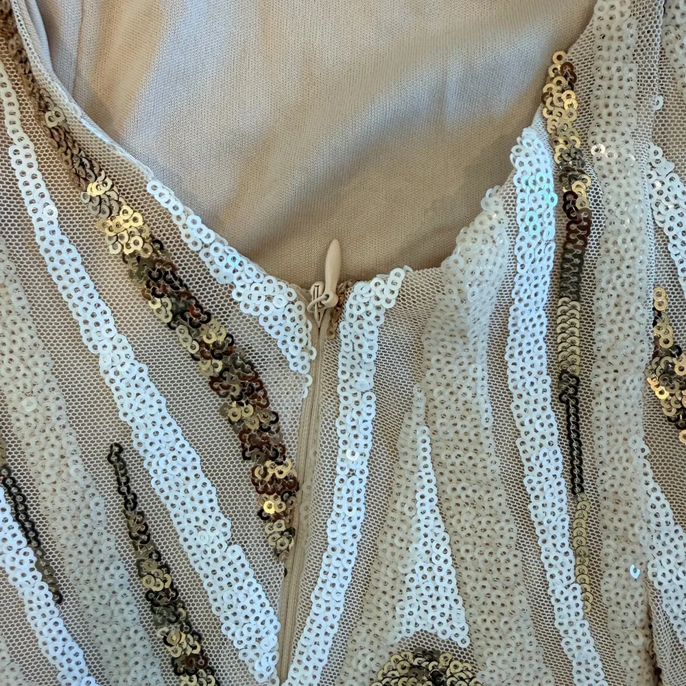 Hello Molly Gold and Cream Sequin Dress - Picture 6 of 7